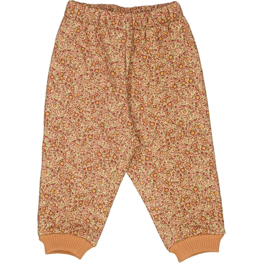 Thermo Pants Alex | Baby - buttercups