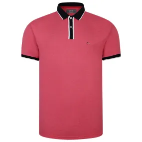 Two Tone Interlock Polo